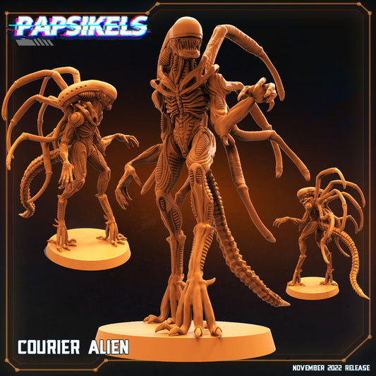 Xenomorph Gigerian Courier Alien (sculpted by Papsikels)