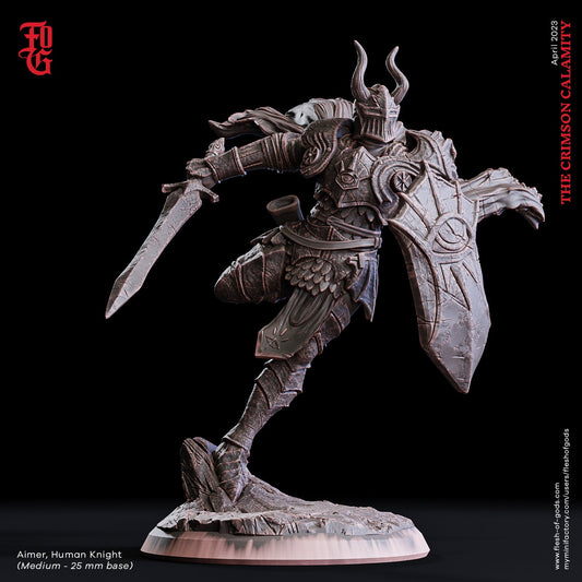 Aimer, Human Knight - The Crimson Calamity (sculpted by Flesh of Gods miniatures)