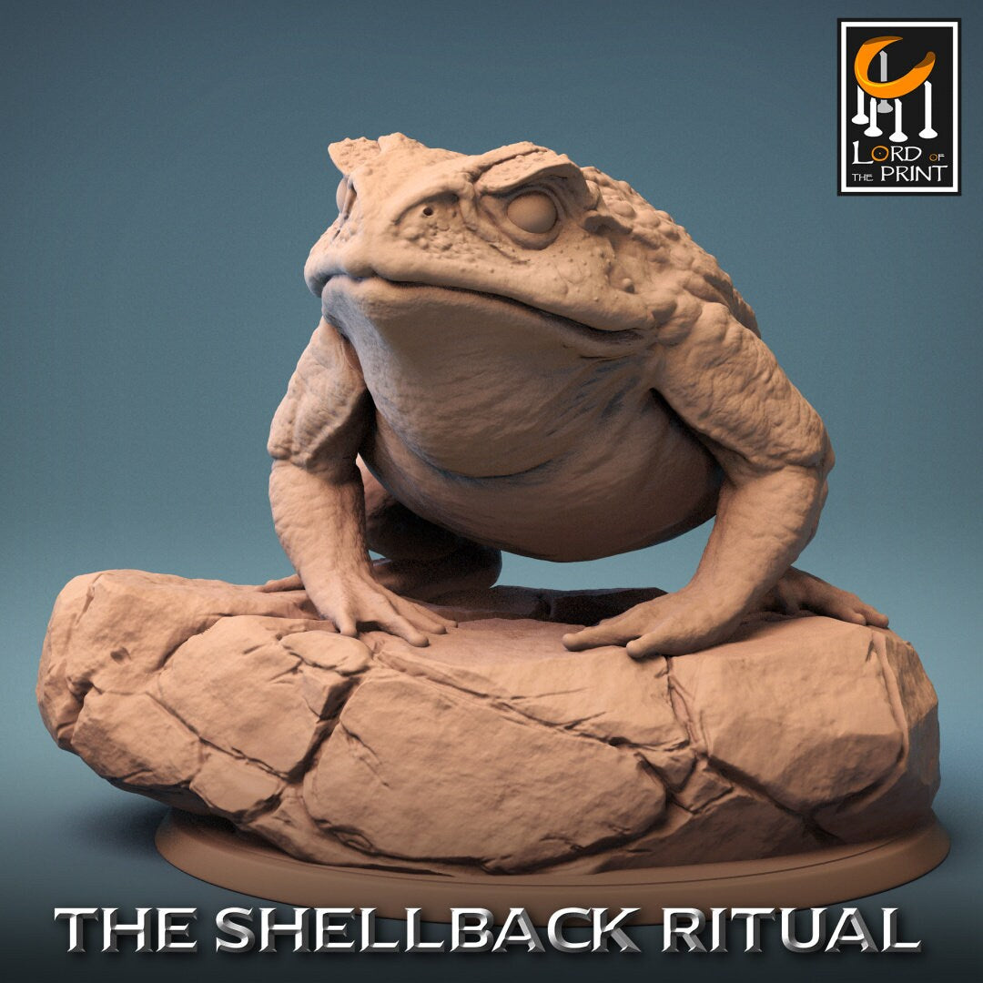 ShellBack Mount (Master) - (Sculpted by Lord of the Print)