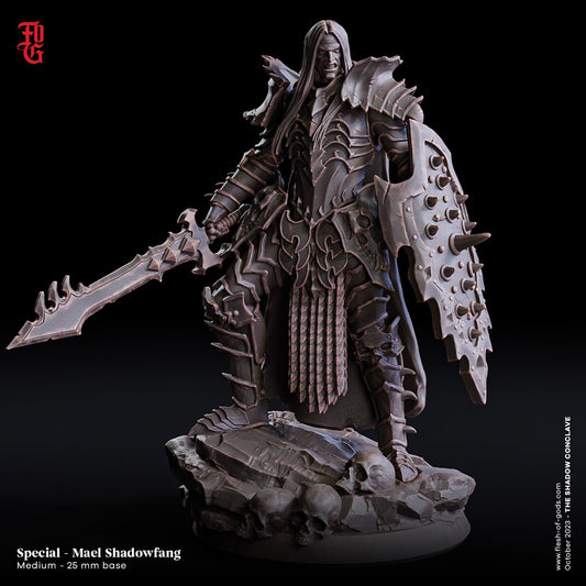Mael Shadowfang - The Shadow Conclave (sculpted by Flesh of Gods miniatures)
